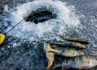 Cure Your Cabin Fever this Winter by Ice Fishing