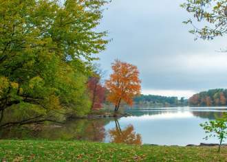 Woodland Wonders and Historic Mountain Towns in Schuylkill County