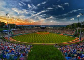 All About the Little League World Series