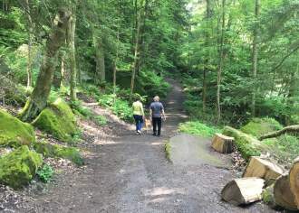Guide to PA’s Best State Parks and Forests