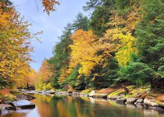 The Most Instagram-Worthy Fall Foliage Spots