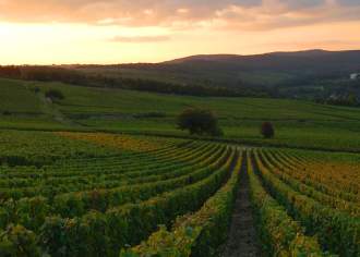 4 Reasons to Wine Taste in Pennsylvania