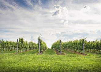 Exploring Pennsylvania Wines: A Taste of History and Terroir