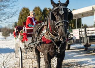 Must-Attend Holiday Events and Festivals in Pennsylvania