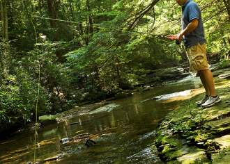 Finding My Wilds Side in Pennsylvania
