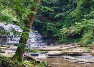 Four Seasons, More Reasons to Visit Susquehanna County