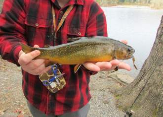 From brookies to browns to rainbows, trout fishing in Pennsylvania is still heaven