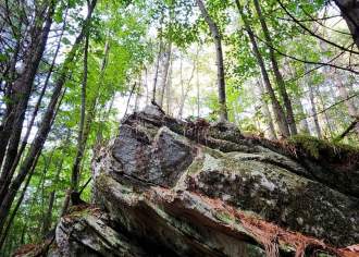 Rock Climbing and Bouldering Experiences in PA
