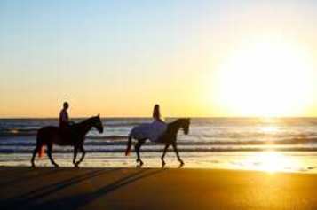 Amelia Island Welcome Center