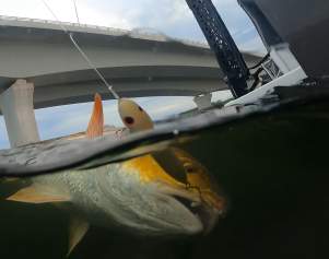 May Fishing Report