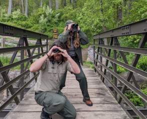 Birdwatching at Hopewell Furnace