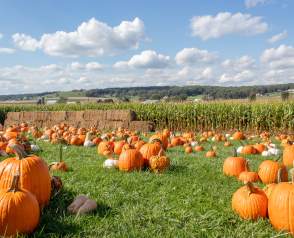 Plan your fall getaway