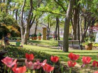 Landscape with trees and tulips at the Botanical Garden in Grapevine, TX.