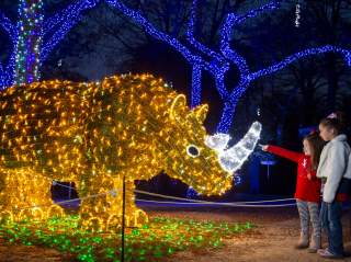 Children pointing at artificial holiday rhino adorned with lights