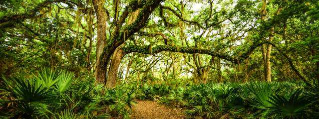 Best Nature Trails to Get Lost