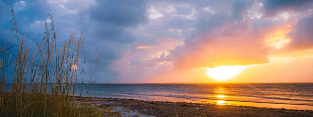 Best Beaches in the Golden Isles: A Local's Guide