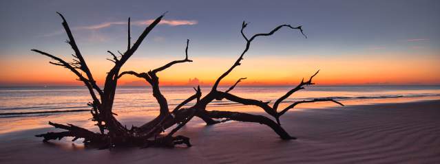 Nature Photography: Best Locations & Tips