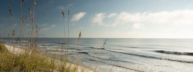 Best Hiking Trails: Easy to Moderate Routes in the Golden Isles