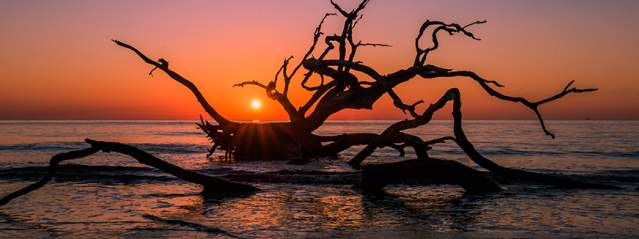 Daybreak at Driftwood Beach