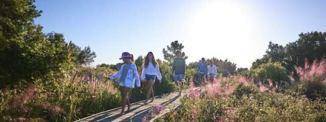 Things to Do on Little St. Simons Island