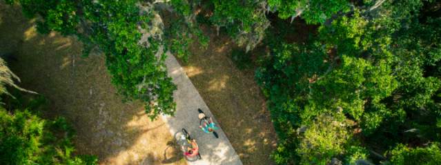 Biking the Golden Isles: Top Trails and Rentals