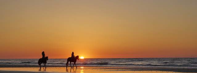 Saddle Up! Guide to Horseback Riding in the Golden Isles