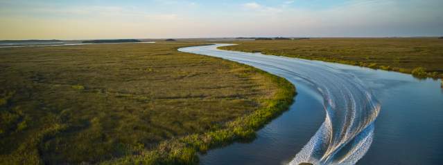 Golden Isles Boat Tours, Dolphin Tours, & Sunset Cruises