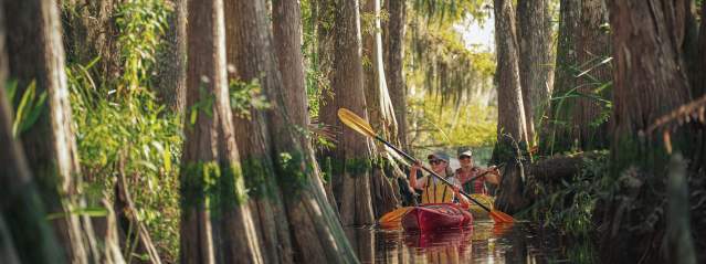 Kayaking in the Golden Isles: Routes & Rentals