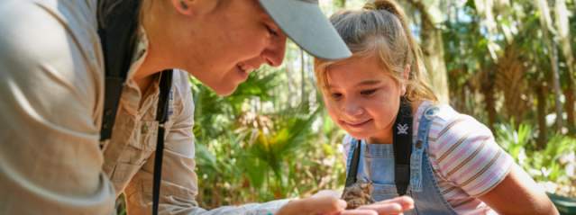 Golden Isles Wildlife Viewing Guide