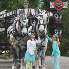 Stanley park sales horse ride