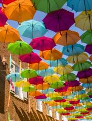 Get Ready to Look Up: Umbrella Sky Elmhurst 2025 is Almost Here!
