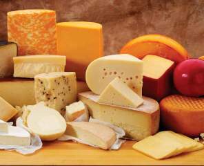 Celebrate the 2025 U.S. Cheese Championship