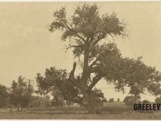 Greeley Stories: Remembering Shawsheen