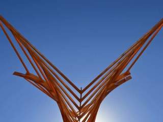 Greeley's Uptown Trees Project Plants Art Around Town