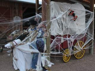 Fall Activities in Greeley, Colorado: Your Ultimate Guide to Fall Fun