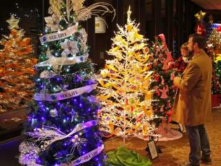 Things to Do in Greeley: Winter Revels and Holiday Events in Greeley, Colorado