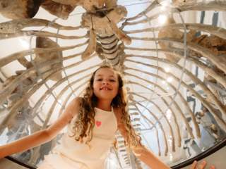 Maritime Museum Whale Dome