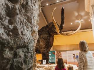 Woman and two children in the Hull & East Riding museum looking at a woolly mammoth.