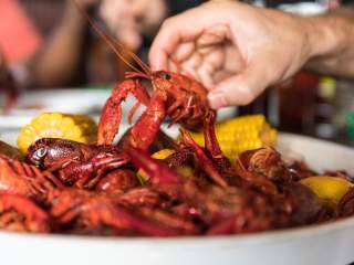 Best Boiled Crawfish in New Orleans