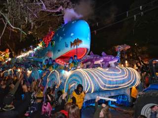 Where to Eat Along the St. Charles Avenue Parade Route