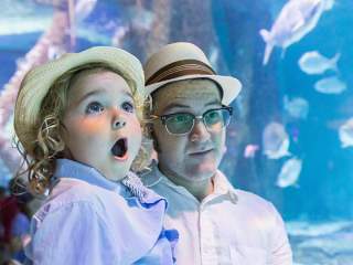 The Top Family-Friendly Summer Events in New Orleans