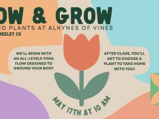 Flow + Grow - Yoga at Alkynes of Vines
