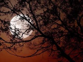Full Moon Bike Ride (Self-Guided)