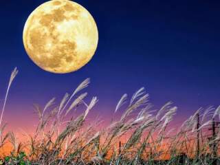 Full Moon Bike Ride (Guided)