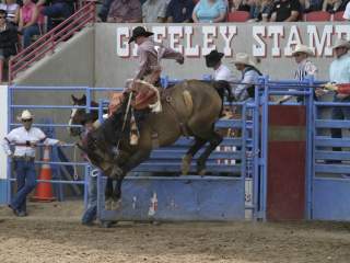 2026 Greeley Stampede