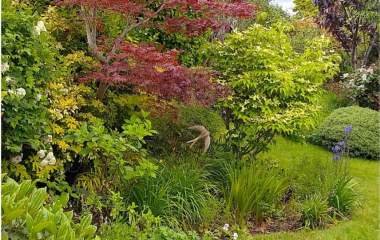 21 primley road sidmouth open gardens