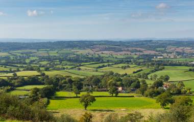 Honiton Free things to do