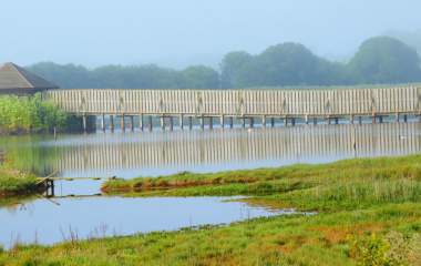 Donation for Seaton Wetlands