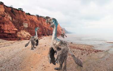 Dinosaurs on Jurassic Coast