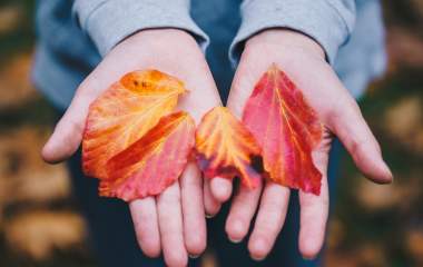 Visit Sidmouth this Autumn